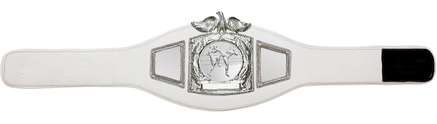 PROEAGLE THAI BOXING CHAMPIONSHIP BELT - PROEAGLE/S/TBOS - AVAILABLE IN 6+ COLOURS PROEAGLE THAI BOXING CHAMPIONSHIP BELT - PROEAGLE/S/TBOS - AVAILABLE IN 6+ COLOURS